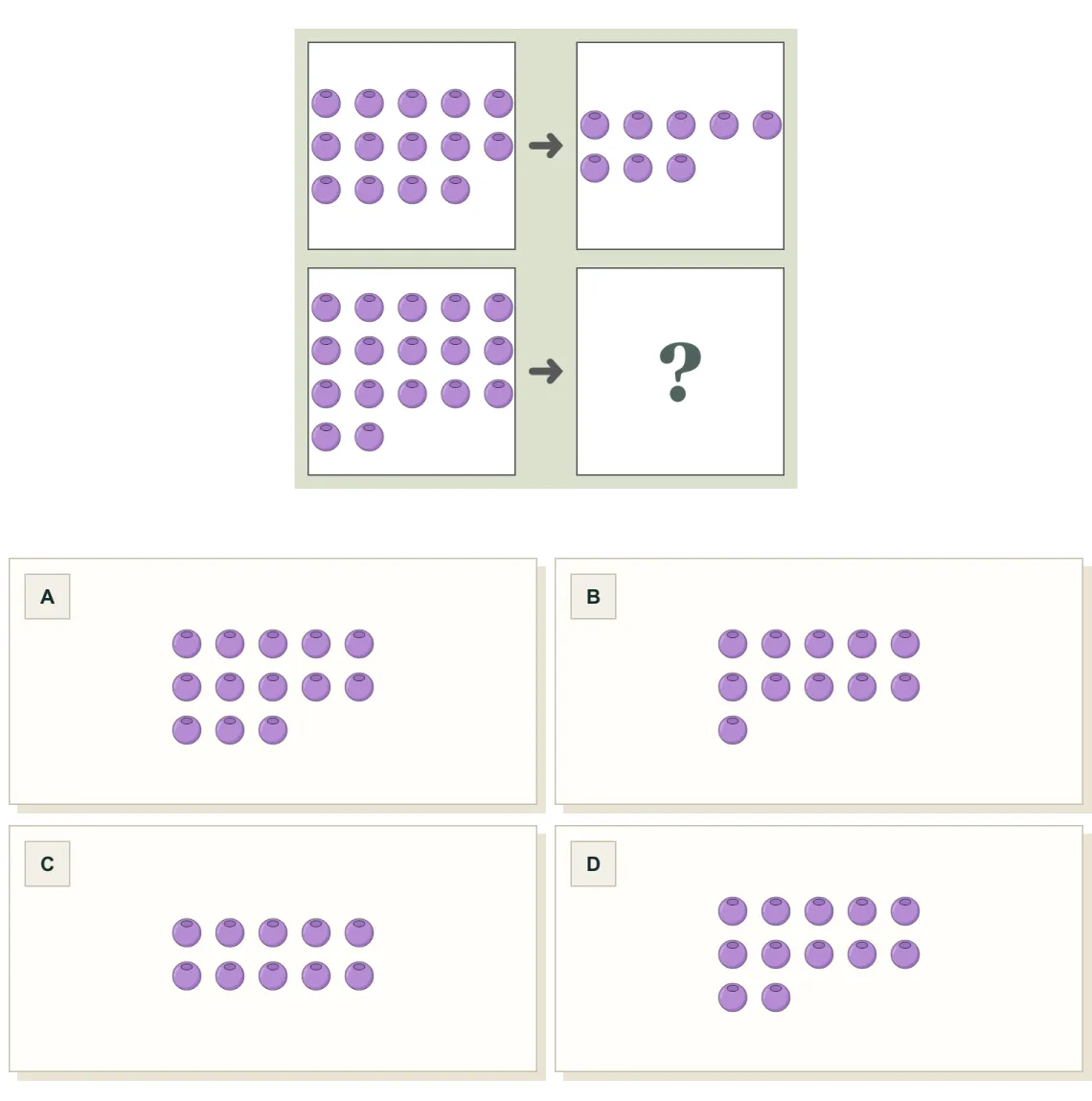 Number Analogies question: a group of 14 berries becomes 8; a group of 17 becomes which group?