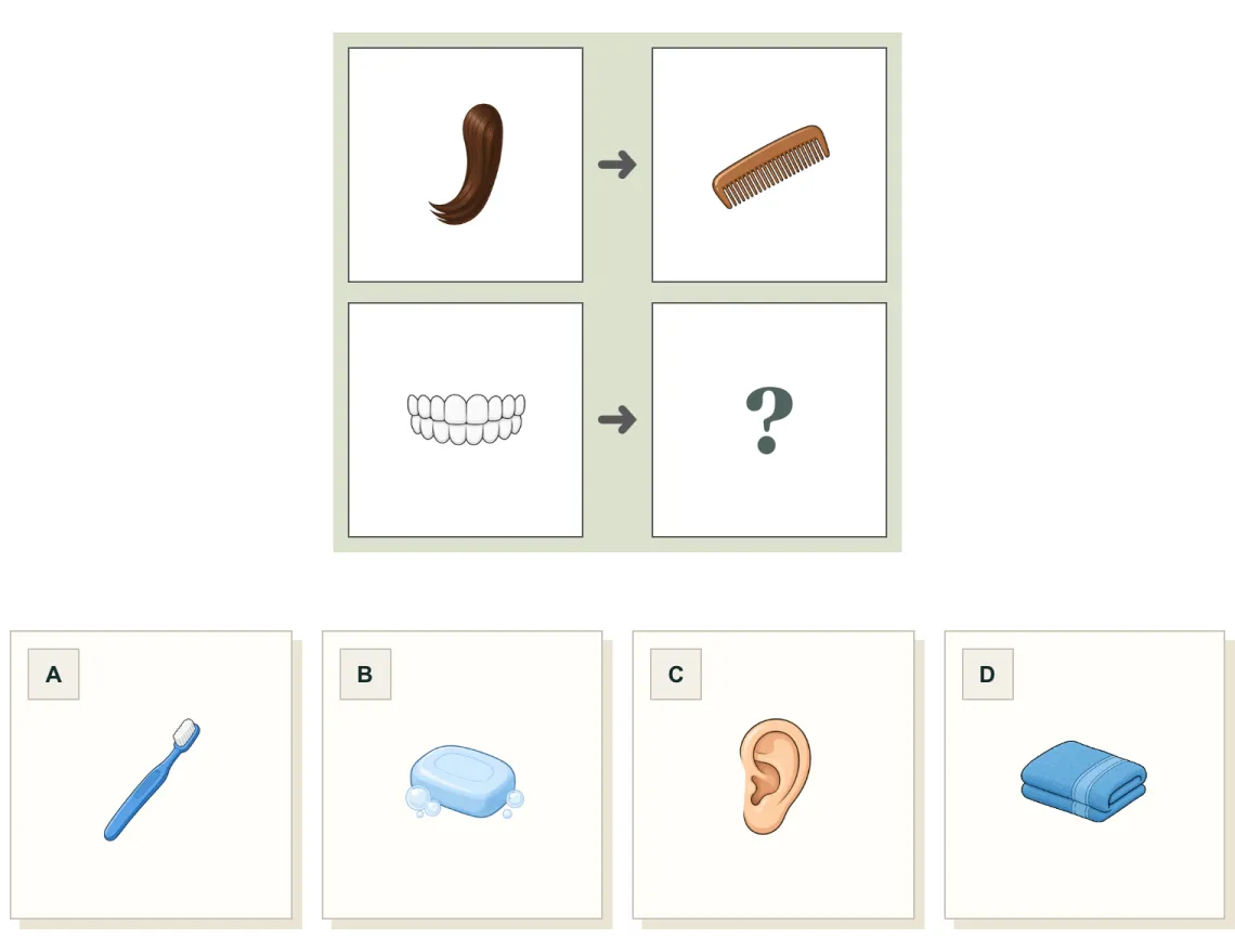 Picture Analogies question: hair goes with a comb; teeth go with which picture? Choices: toothbrush, soap, ear, towel.