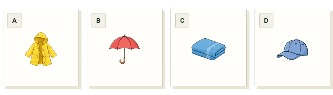 Sentence Completion answer choices: a raincoat, an umbrella, a towel, and a cap.